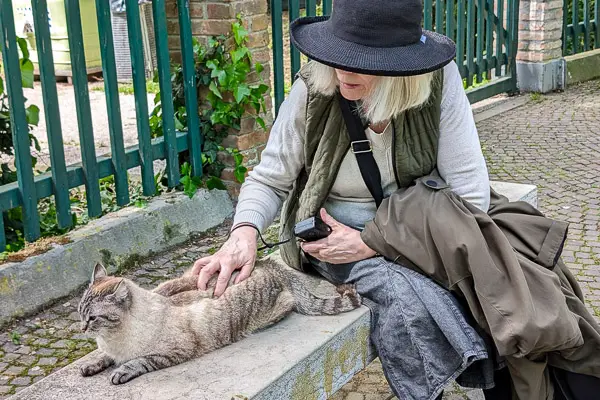 Cat in Viale Garibaldi, Venice, Italy.