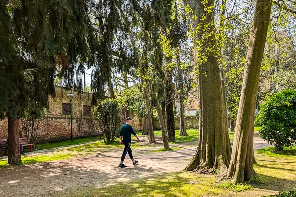 Trees and a path in the Parco Savorgnan, Venice, Italy.