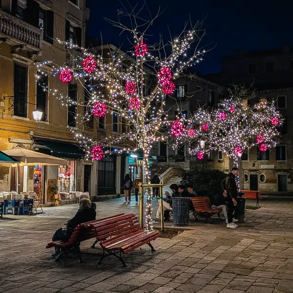 Christmas lights decorate the trees in Venice's Campo Santa Maria Nova.