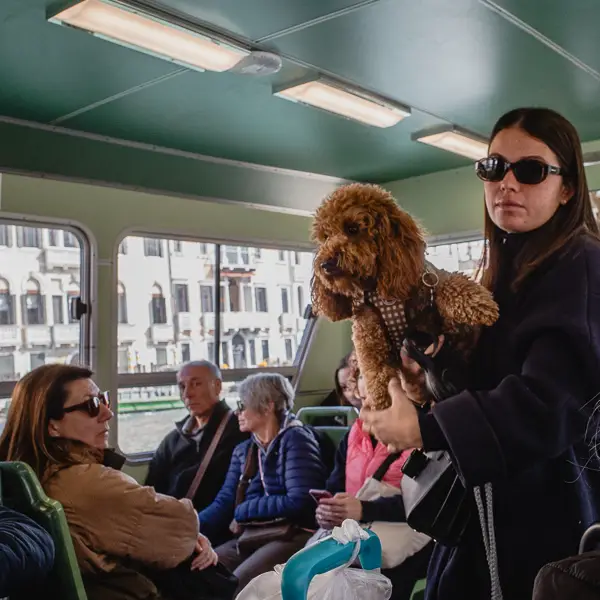 A woman and her dog ride a public water bus on Venice's Grand Canal.