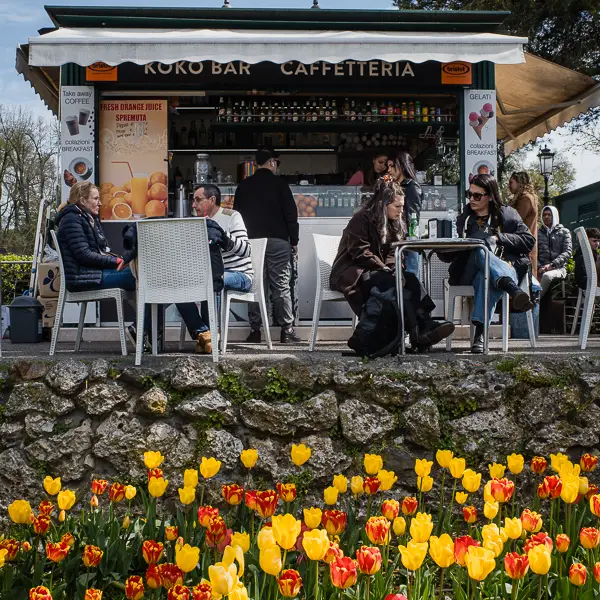 Tulips bloom in front of a snack bar at the Piazza Roma, which is Venice's gateway for taxis, buses, and trams from the Italian mainland.