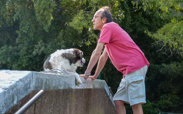 A man and his dog on a bridge near Venice's Giardini Pubblici.