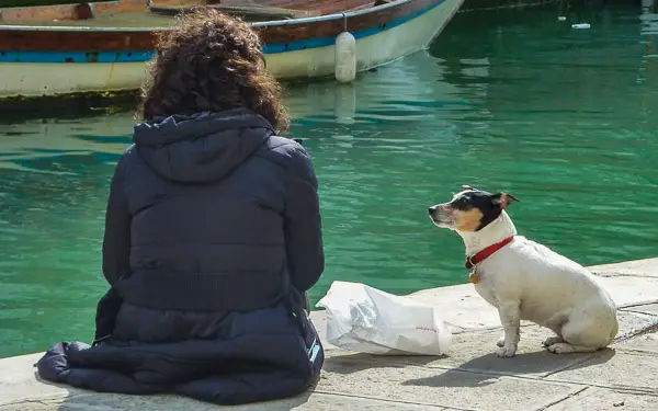 A dog and a girl in Venice, Italy.