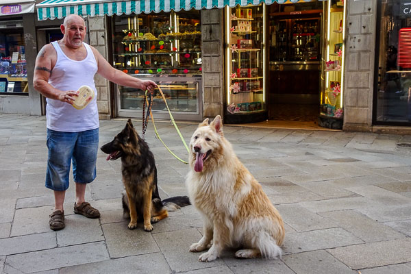 Man with large dogs in Venice's Strada Nova.