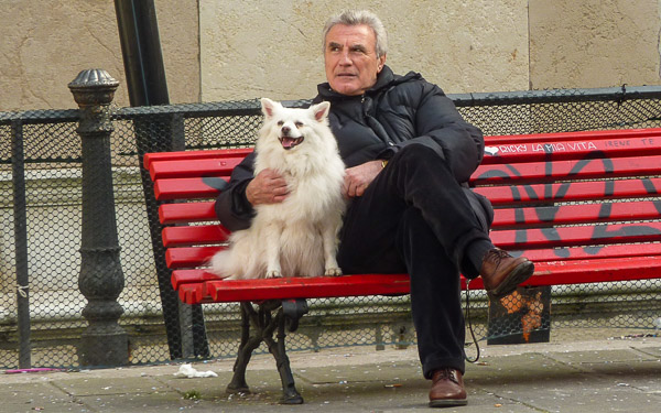 Man and dog on a park bench in Venice, Italy.