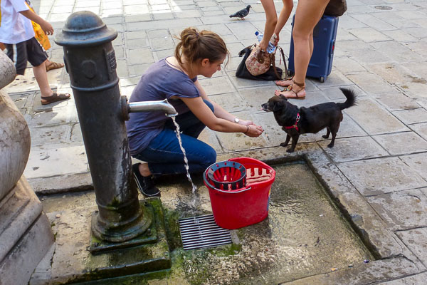 Water fountain in Venice with woman and dog drinking