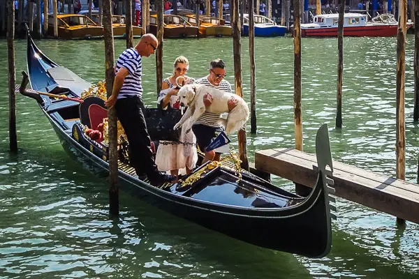 Gondola with dog, Venice, Italy.