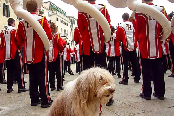 Maggie with Shaker Heights, Ohio marching band in Venice, Italy.
