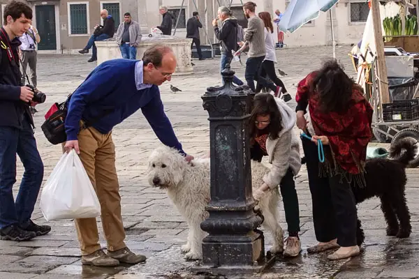 Man pats dog in Venice, Italy.