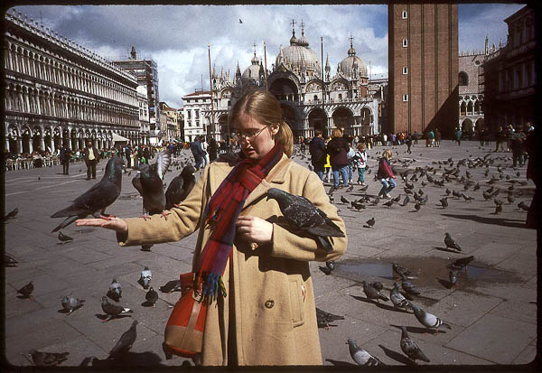 Pigeons in the Piazza San Marco, 1999