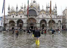 acqua alta photo