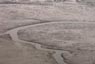 Torcello tidal flats