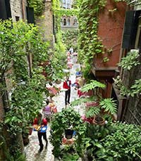 Hotel Flora view