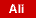 Alilaguna icon