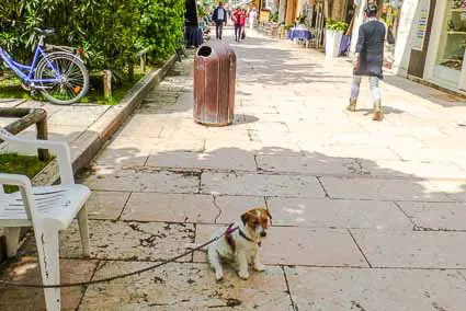 Lido di Venezia Photos | Venice for Visitors