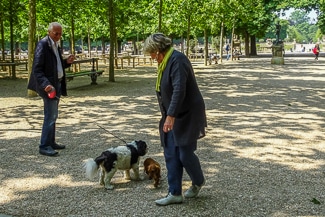 Dogs in Jardin du Luxembourg
